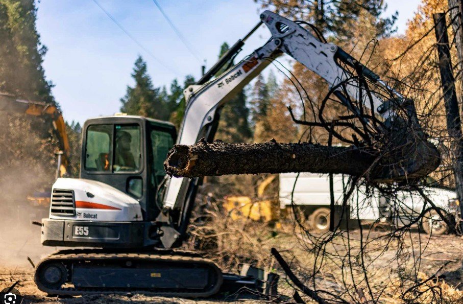 Mini excavator handling large timber
